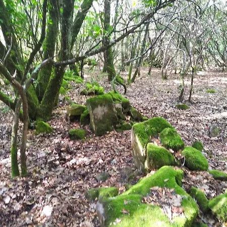 Feriehus El Montito *