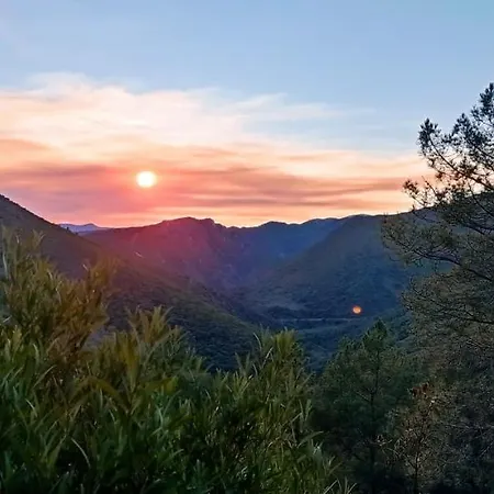 El Montito *